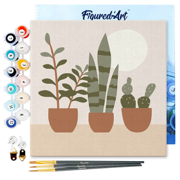 Mini Paint by numbers Three plant pots 20x20cm already framed