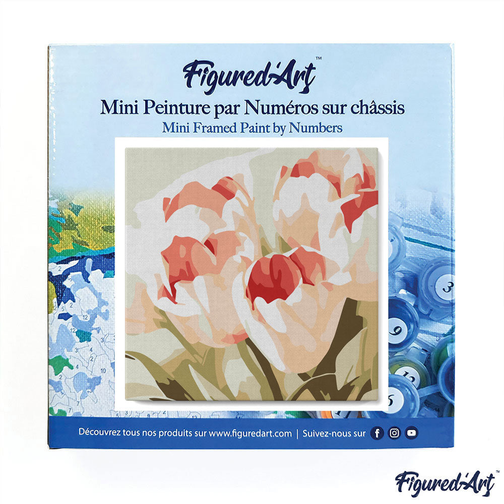 Mini Paint by numbers Blooming Tulips 20x20cm already framed