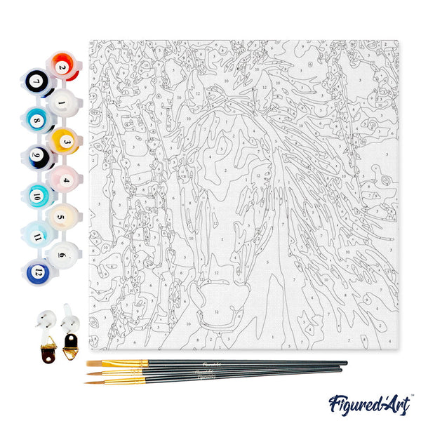 Mini Paint by numbers White Horse And Flowers 20x20cm already framed