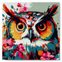 Mini Paint by numbers Fantasy owl with flowers 20x20cm already framed Figured'Art UK